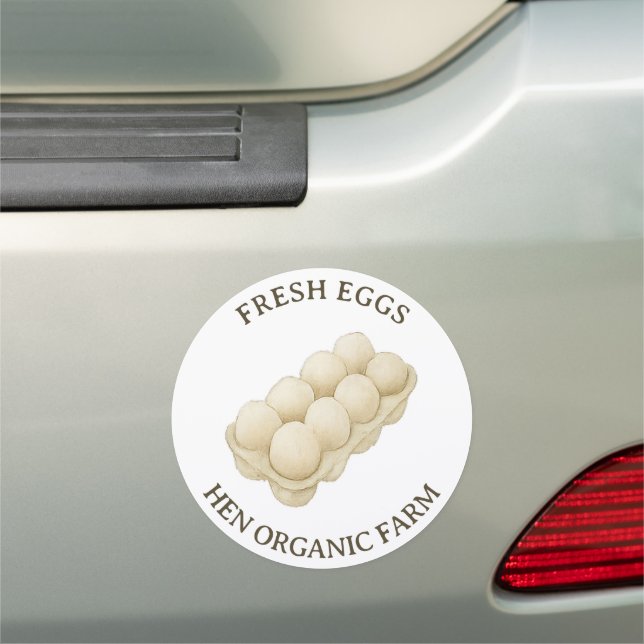 Farm Hen Egg Car Magnet (In Situ)