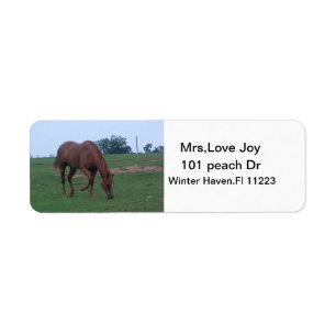 Farm Horse Address Lables Label