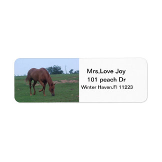 Farm Horse Address Lables Label