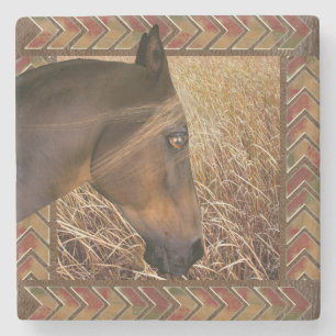 Farm Horse Framed Grasslands Stone Coaster