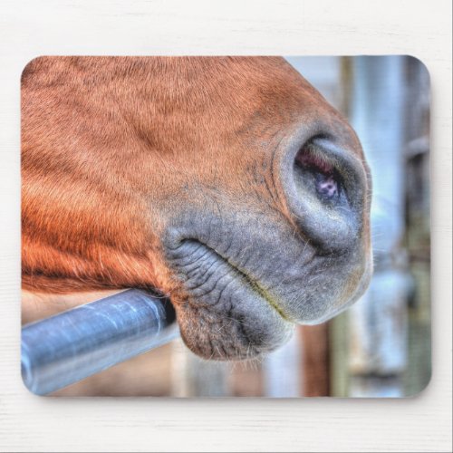 Farm Horse Muzzle Equine Photography Mouse Pad