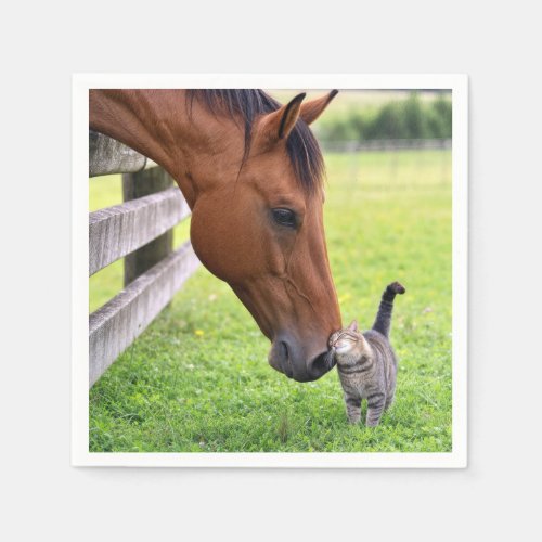Farm Horse with Tabby Cat Napkins