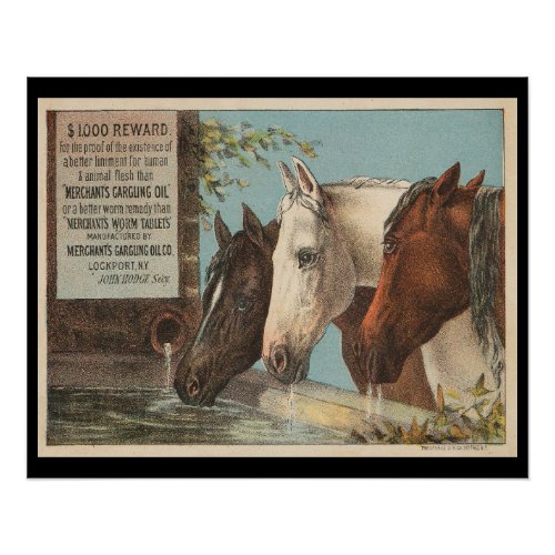 Farm Horses Drinking Water Advertisement Ephemera Poster