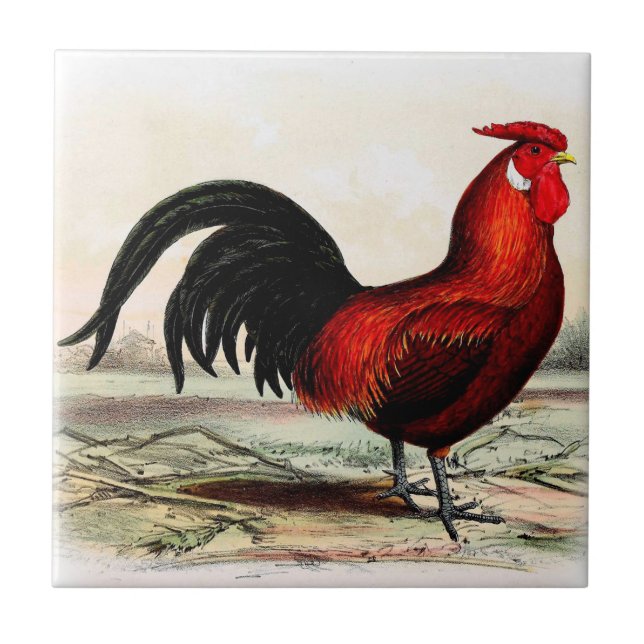 Farm Kitchen Decorative Rooster Tile Red Rooster (Front)