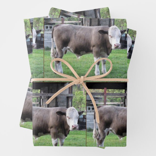 Farm Life - Bull  - Wrapping Paper Sheets (In situ)