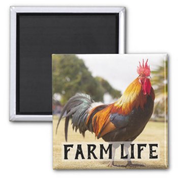 Farm Life Chicken Rooster Farmer's Market Magnet by CountryWeddings at Zazzle