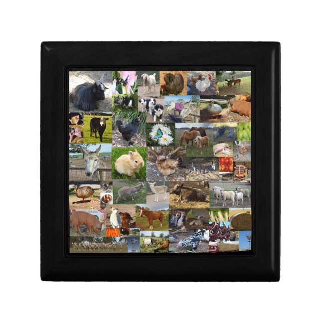 Farm Life Photo Collage,   Gift Box (Front)
