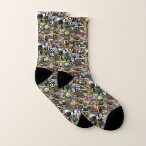 Farm Life Photo Collage Socks