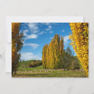 Farm Pasture with Sheep Thank You Card