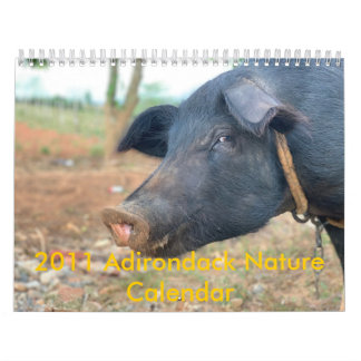 Farm Pig Design Calendar