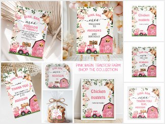 Farm Pink Barn Tractor Birthday Party Decor 