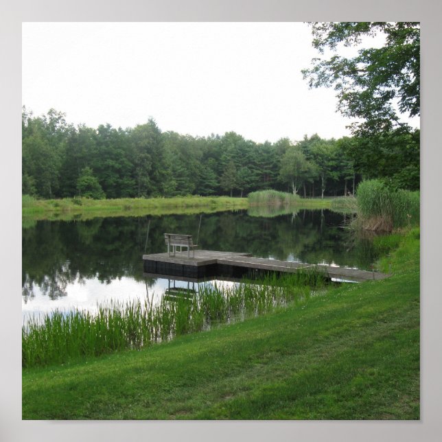 Farm Pond Poster (Front)