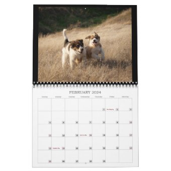 Farm Puppies Calendar | Zazzle