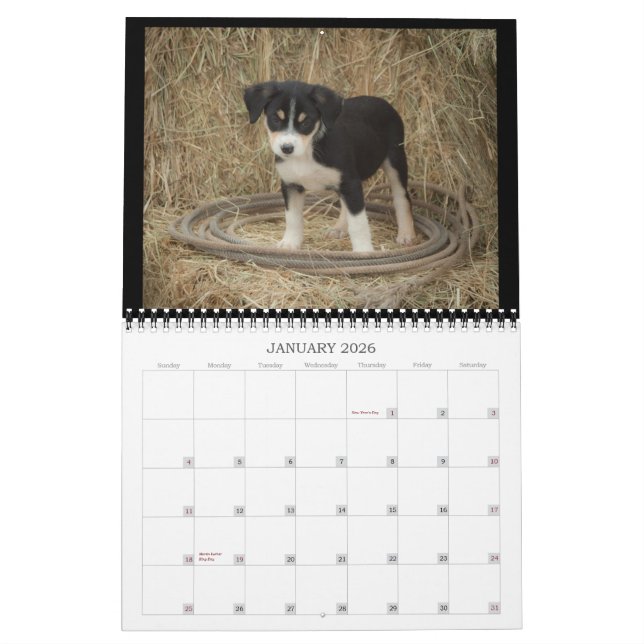 Farm Puppies Calendar (Jan 2026)