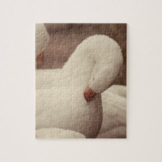 Farm Puzzle Gans
