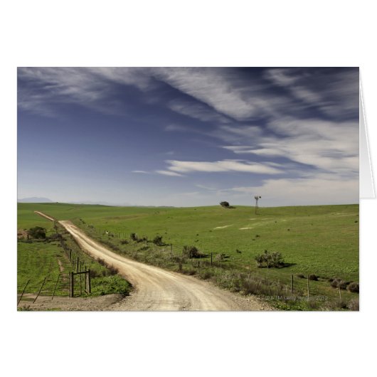 Farm road twining between wheat fields, Caledon, Cards (Front Horizontal)