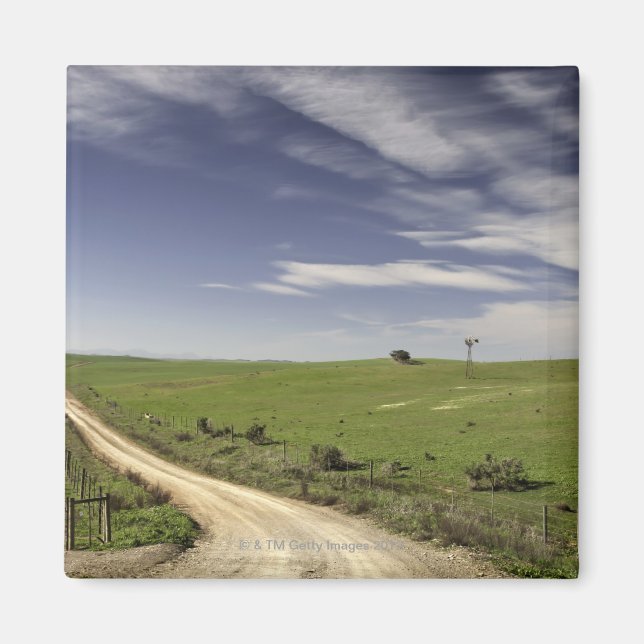 Farm road twining between wheat fields, Caledon, Magnet (Front)