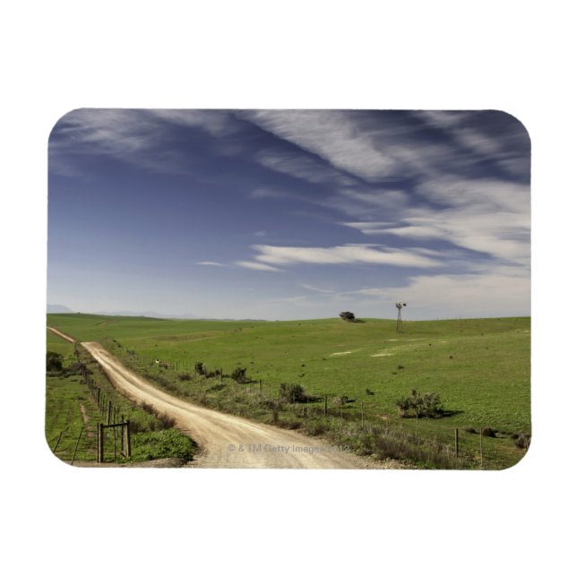 Farm road twining between wheat fields, Caledon, Magnet (Horizontal)