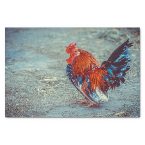 Farm Rooster Colorful Decoupage Tissue Paper