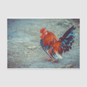 Farm Rooster Colorful Decoupage Tissue Paper