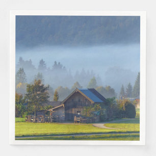Farm Scene 3 Paper Dinner Napkins