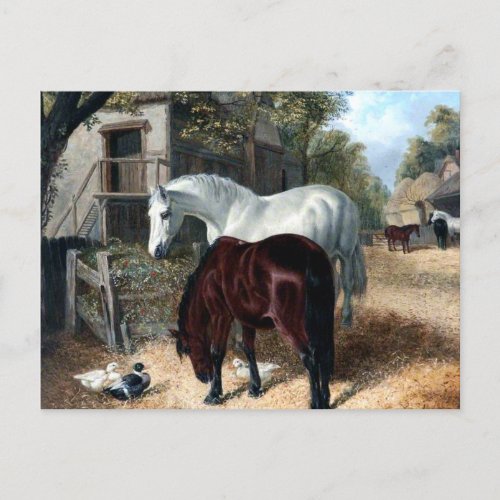 Farm Scene with Horses Postcard