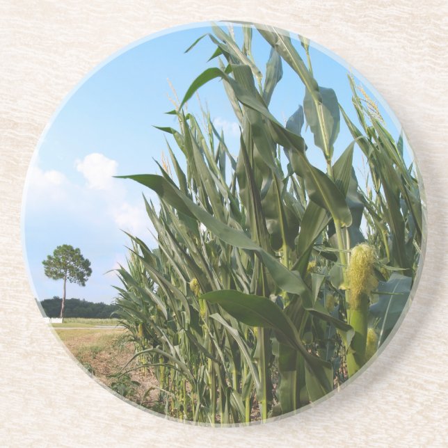 Farm Series---Corn field in GA Drink Coaster (Front)