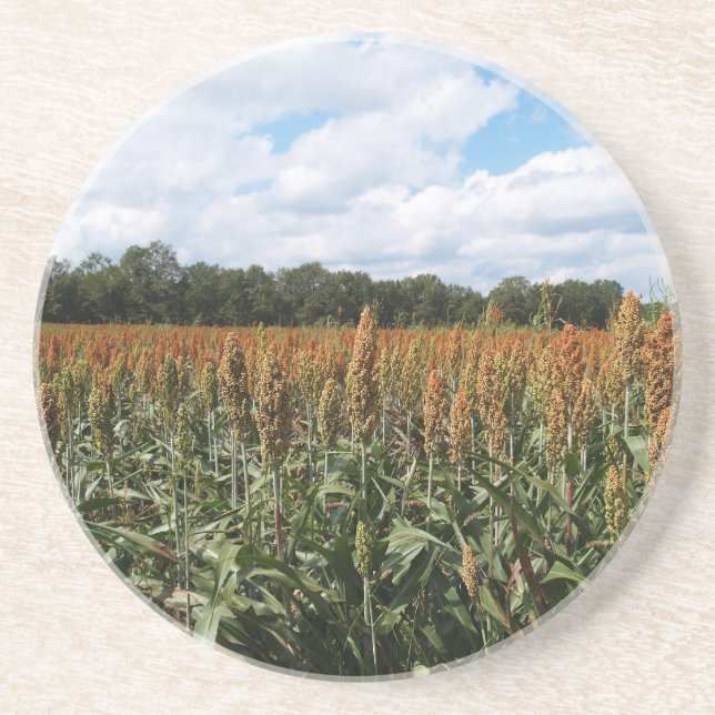 Farm Series--Sorghum Field--Coaster Drink Coaster (Front)