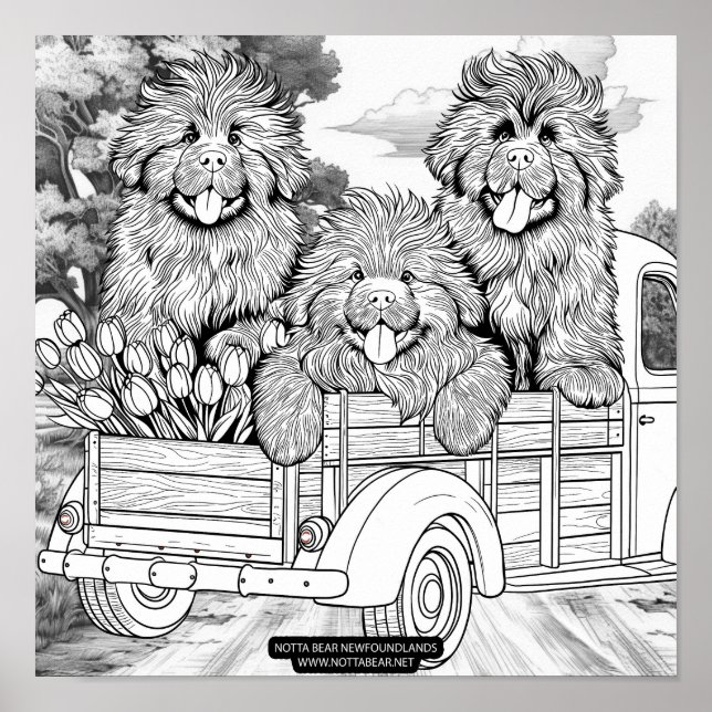 Farm truck Newfoundland Puppies with tulips Poster (Front)