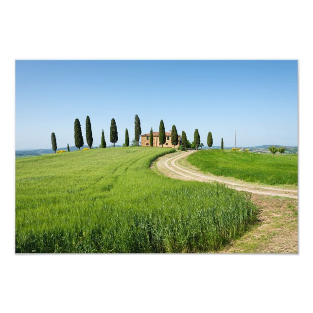 Farm villa with cypress trees in Tuscany Photo Print (Front)