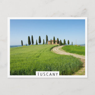 Farm villa with cypress trees in Tuscany Postcard