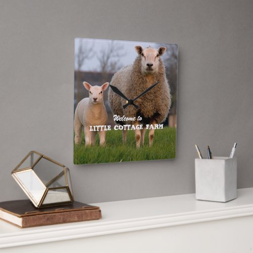 Farm Welcome Sheep Family Custom Square Wall Clock