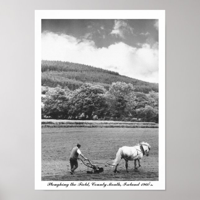 Farmer & horse plough, 1960's Ireland, Co. Meath Poster (Front)