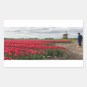 Farmer inspecting his tulips and windmill rectangular sticker