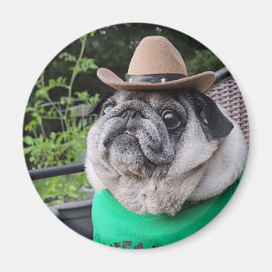 Farmer Pickles magnet