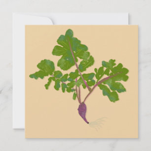 Farmer Radish Turnips Plants Gardening