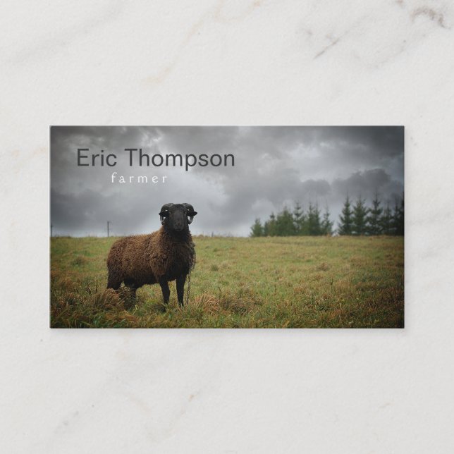 Farmer Ram Black Sheep Business Card (Front)