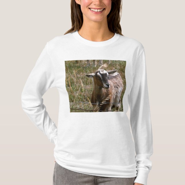 Farmer's goat T-Shirt (Front)