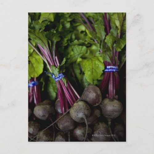 farmers market stand with various produce 2 postcard