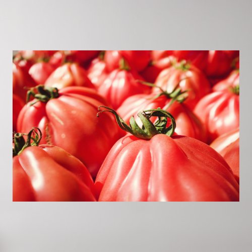 Farmers Market Tomatoes Photography Poster