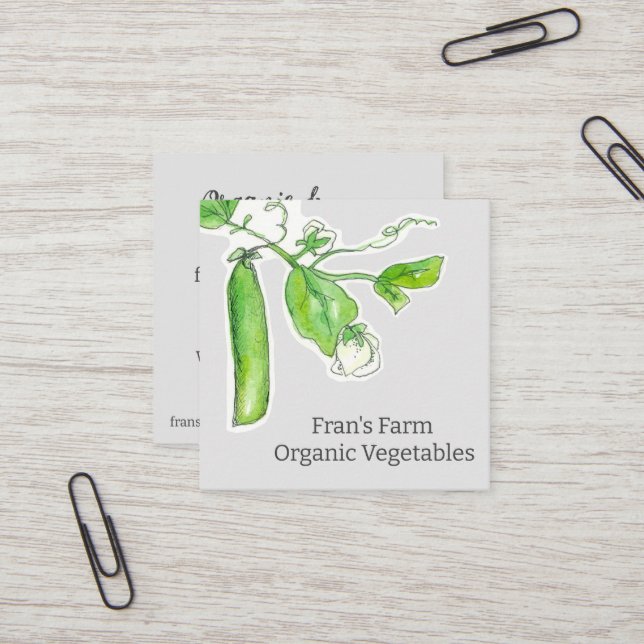 Farmers Market Vegetables Green Peas  Square Business Card (Front/Back In Situ)