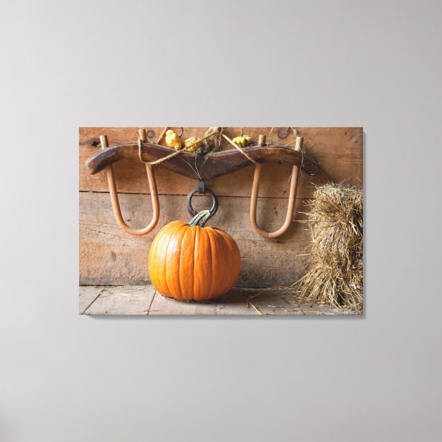 Farmers Museum. Pumpkin in barn with bale of hay Canvas Print (Front)
