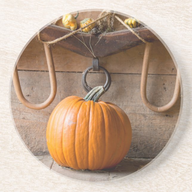 Farmers Museum. Pumpkin in barn with bale of hay Drink Coaster (Front)