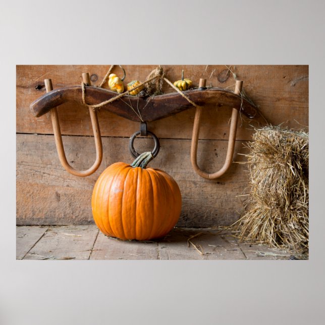 Farmers Museum. Pumpkin in barn with bale of hay Poster (Front)