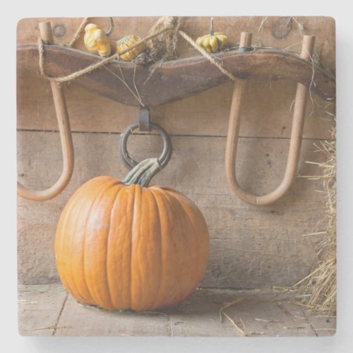 Farmers Museum Pumpkin in barn with bale of hay Stone Coaster