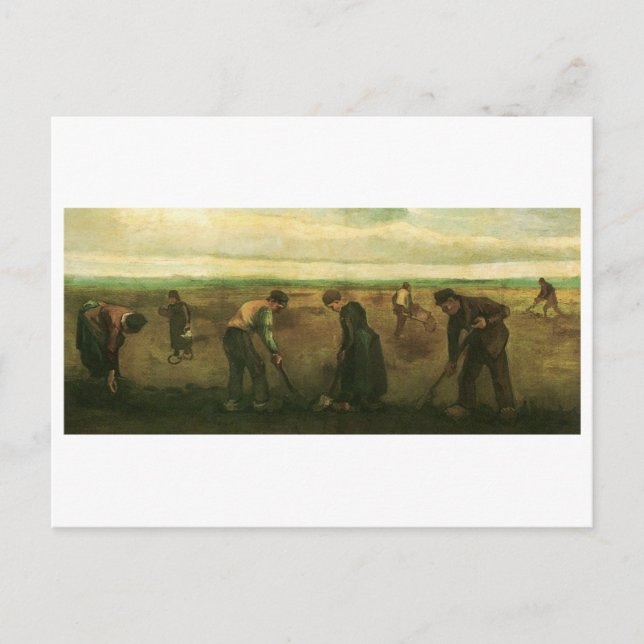 Farmers Planting Potatoes, Vincent van Gogh Postcard (Front)