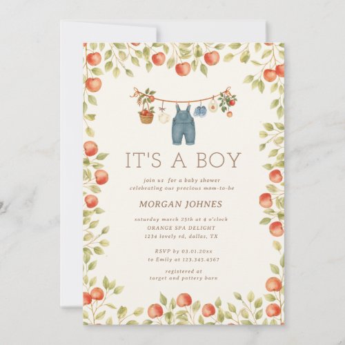 Farmhouse Baby Clothesline Baby Shower