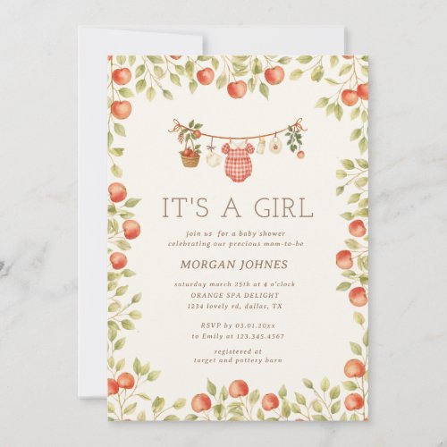 Farmhouse Baby Clothesline Baby Shower