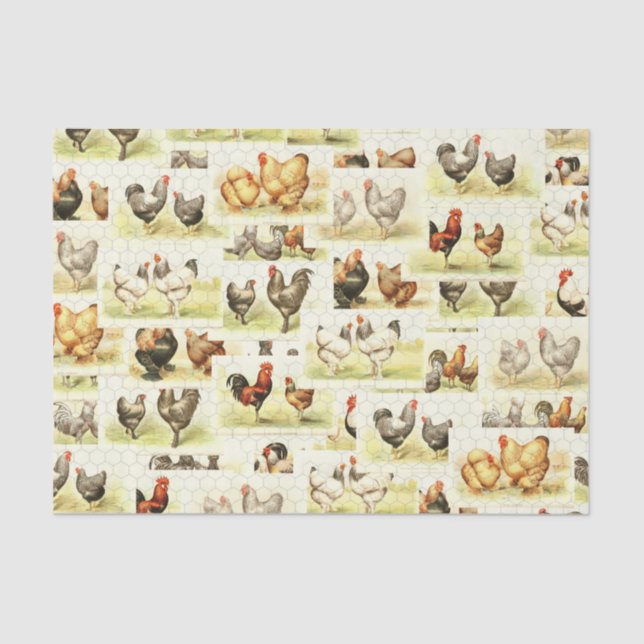 Farmhouse Chicken Tissue- Decoupage or Wrap Tissue Paper (Front)