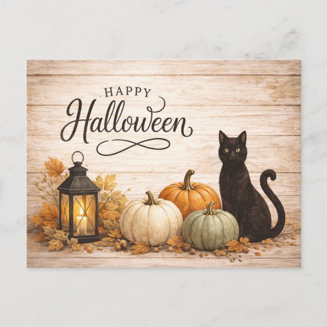Farmhouse Colorful Pumpkins Halloween Holiday Postcard (Front)